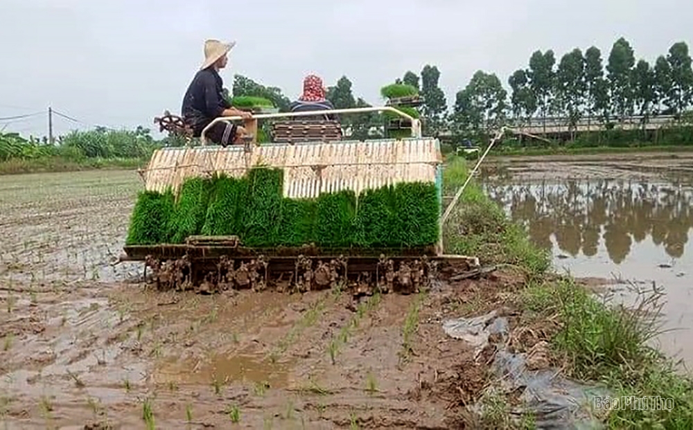 Phấn đấu thắng lợi vụ Xuân ngay từ đầu năm 