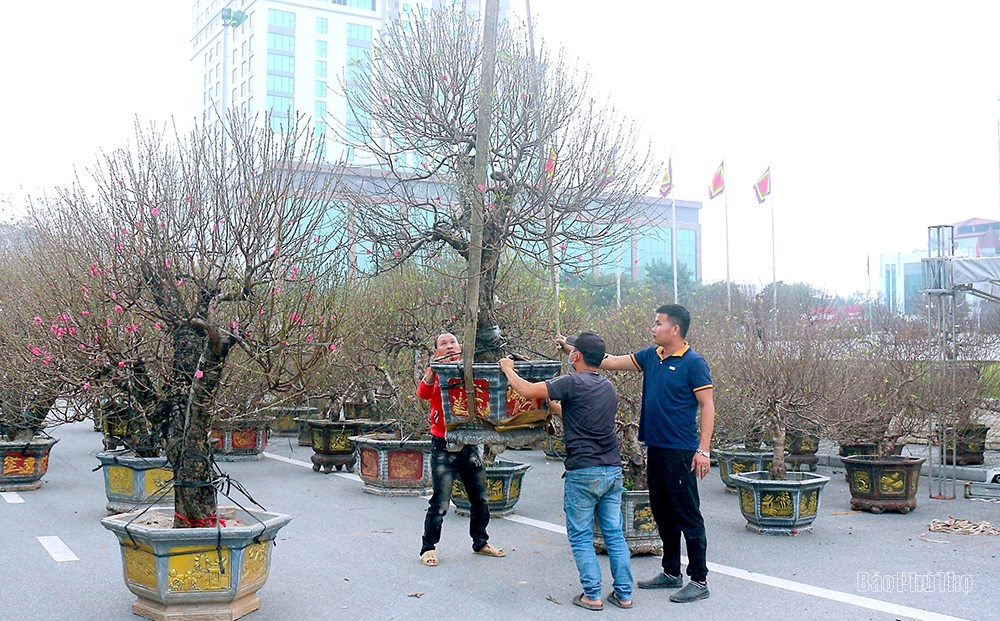 The street is lined with ornamental trees for the Tet holiday