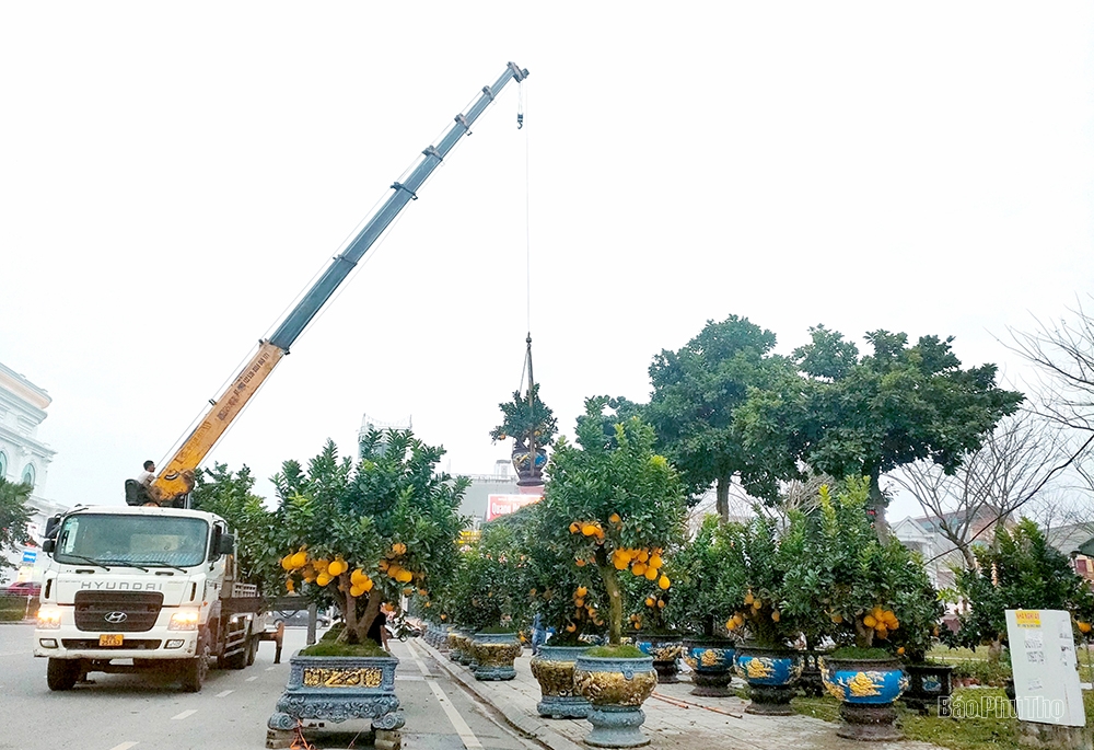 The street is lined with ornamental trees for the Tet holiday