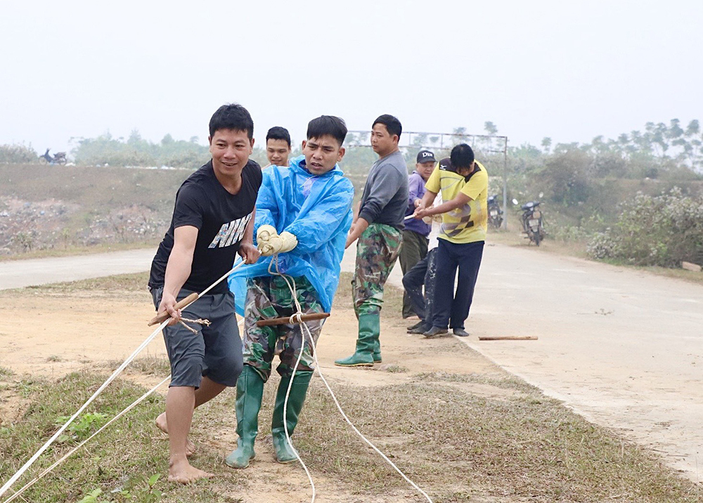 Busily dragging fish net in Spring days