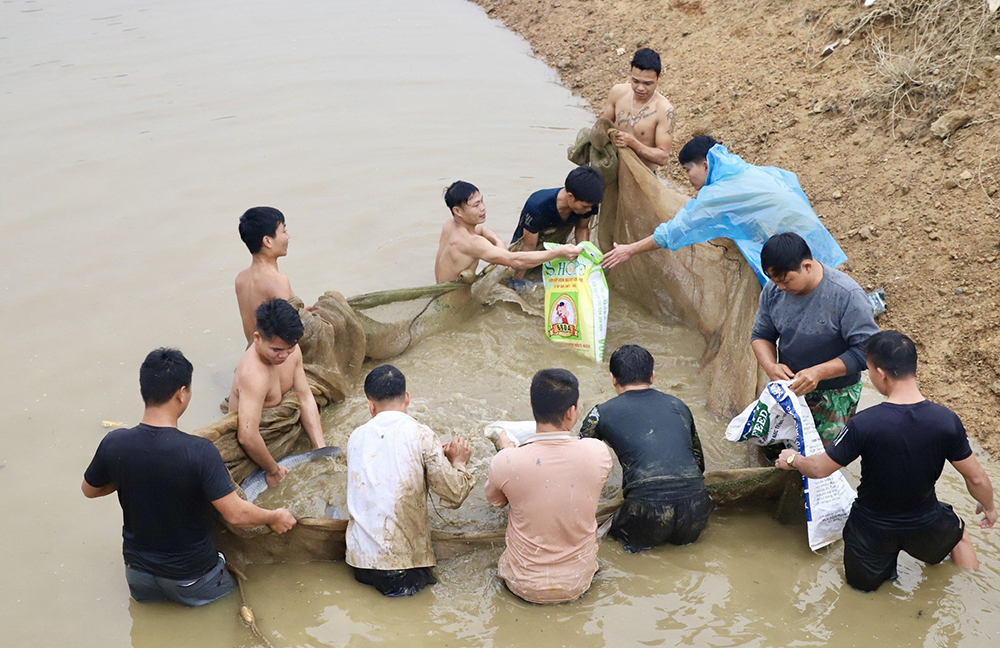 Busily dragging fish net in Spring days