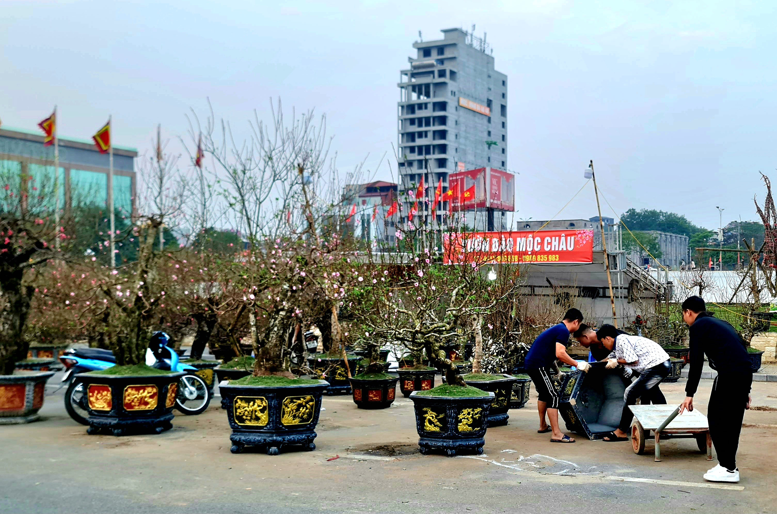 Chợ hoa ngày Tết