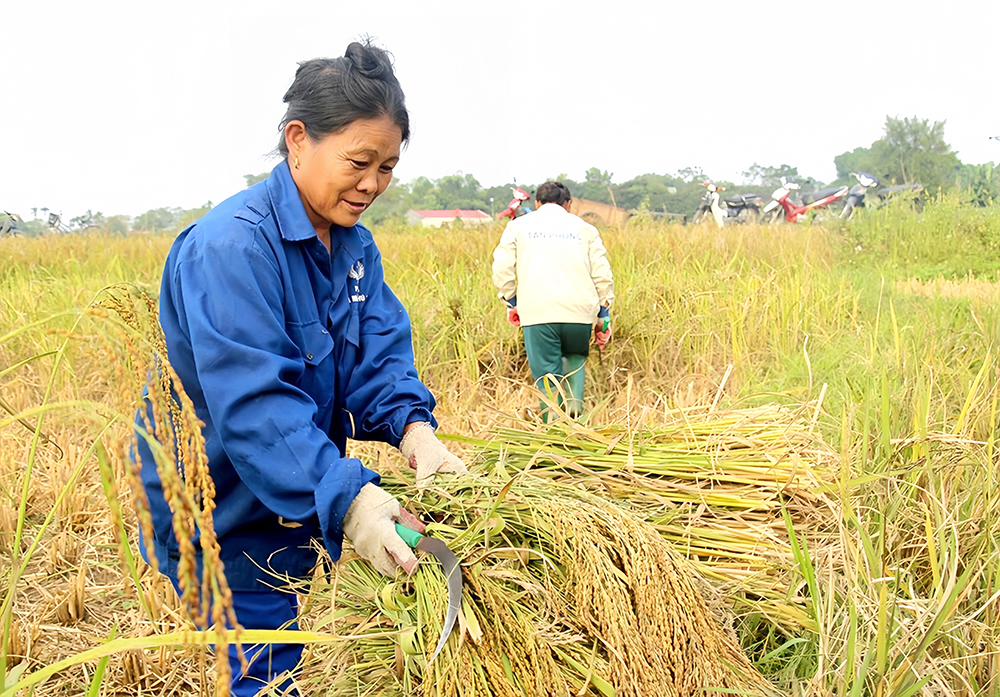 Mở rộng thị trường tiêu thụ sản phẩm của đồng bào dân tộc thiểu số