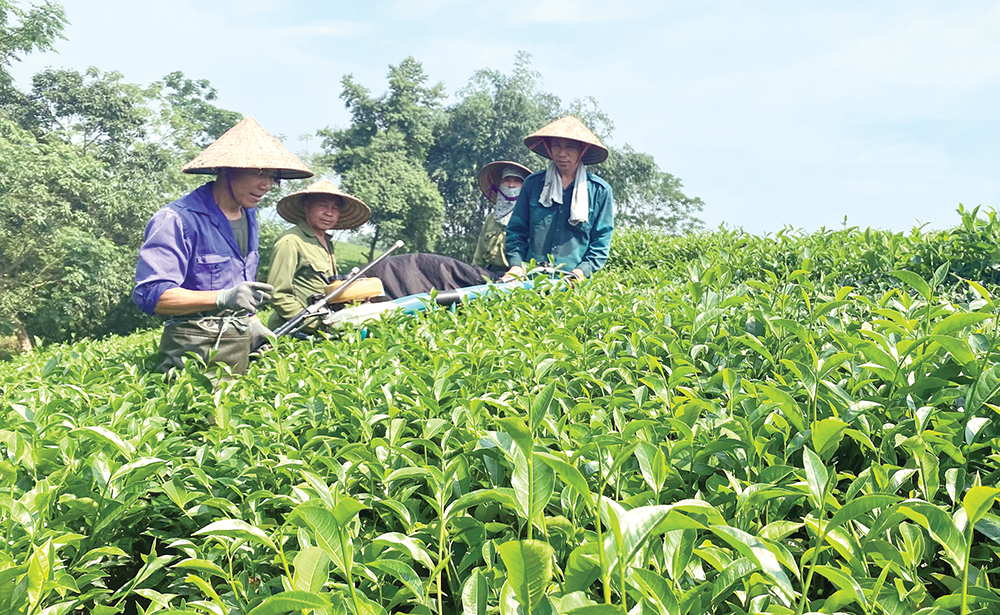 Đảm bảo đất ở, đất sản xuất cho đồng bào dân tộc thiểu số