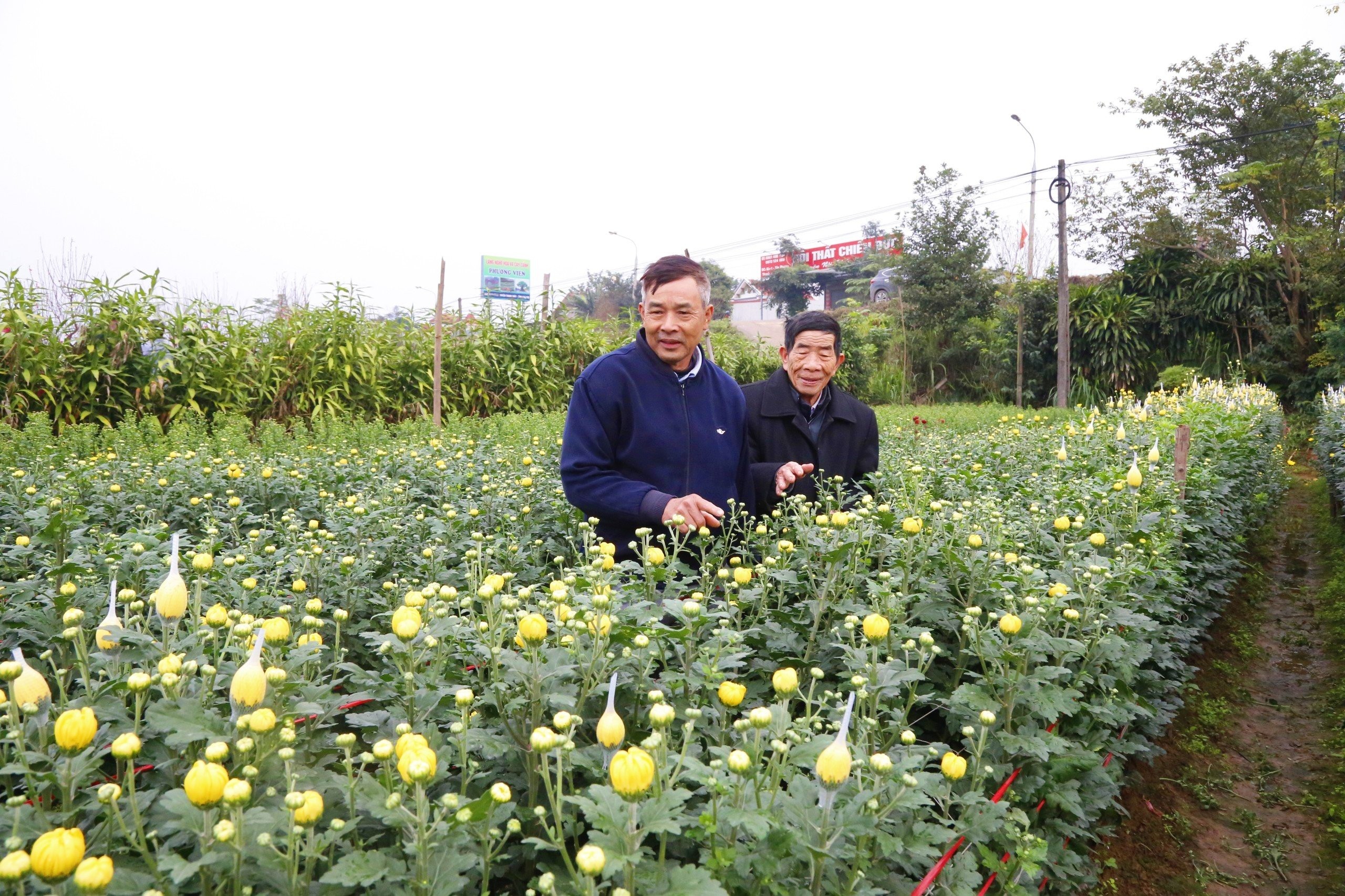 Làng hoa Phương Viên