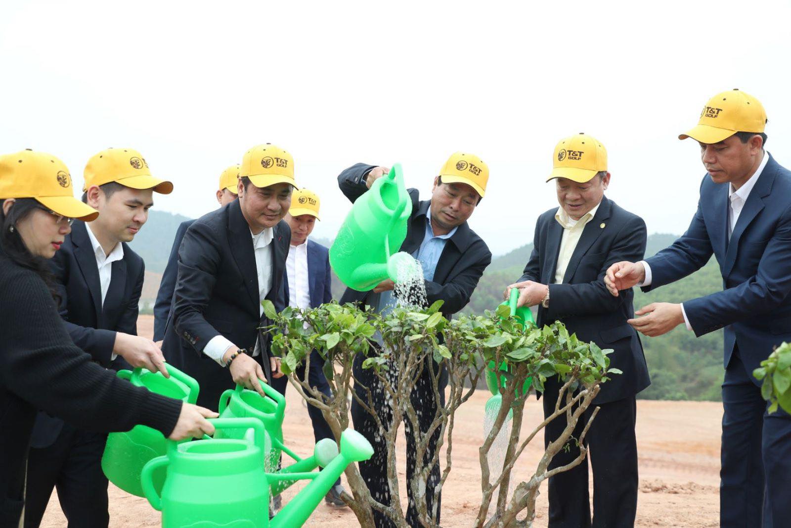 Phu Tho plants 52 million trees within three years