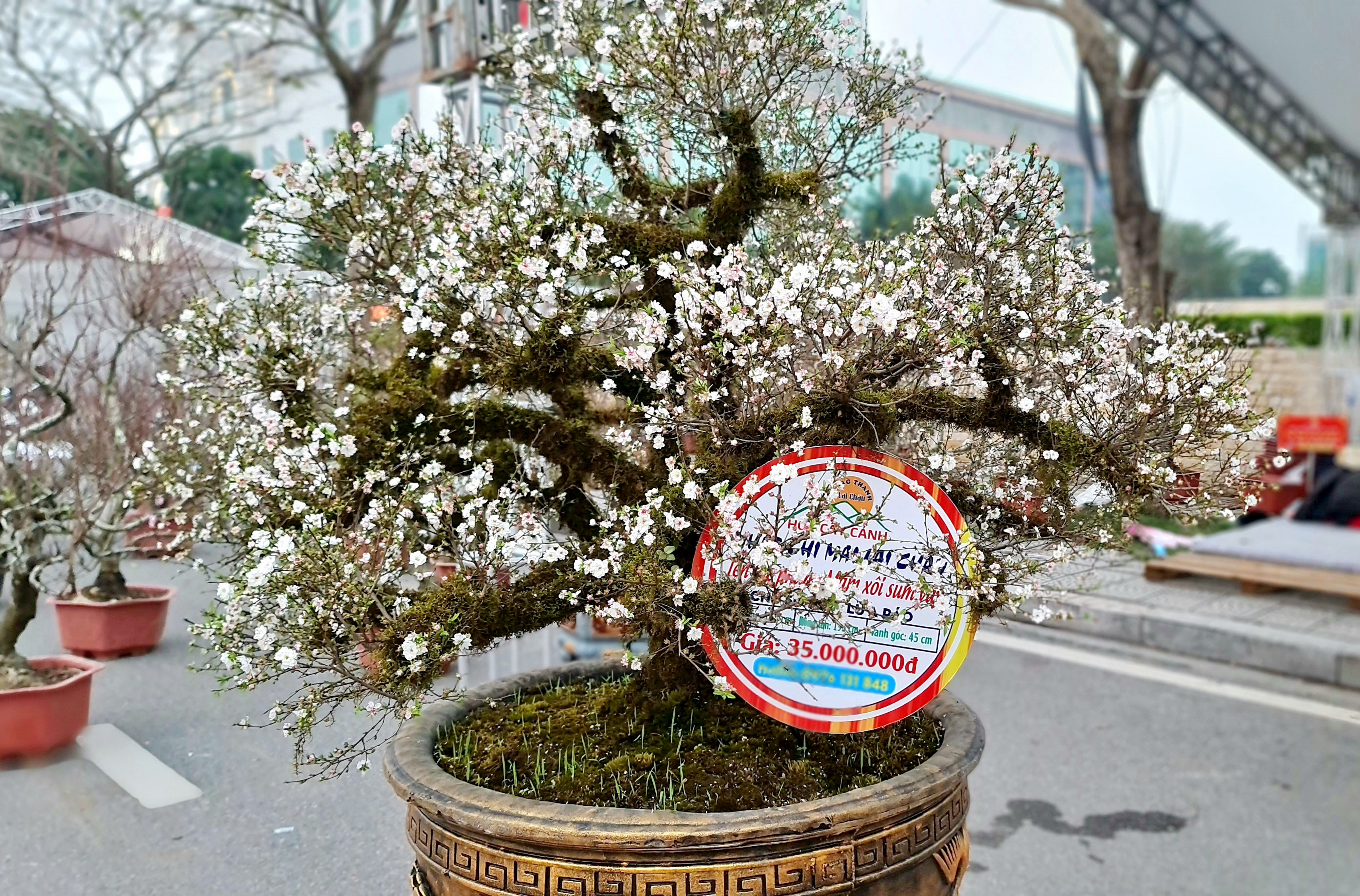 Tet Flower Market