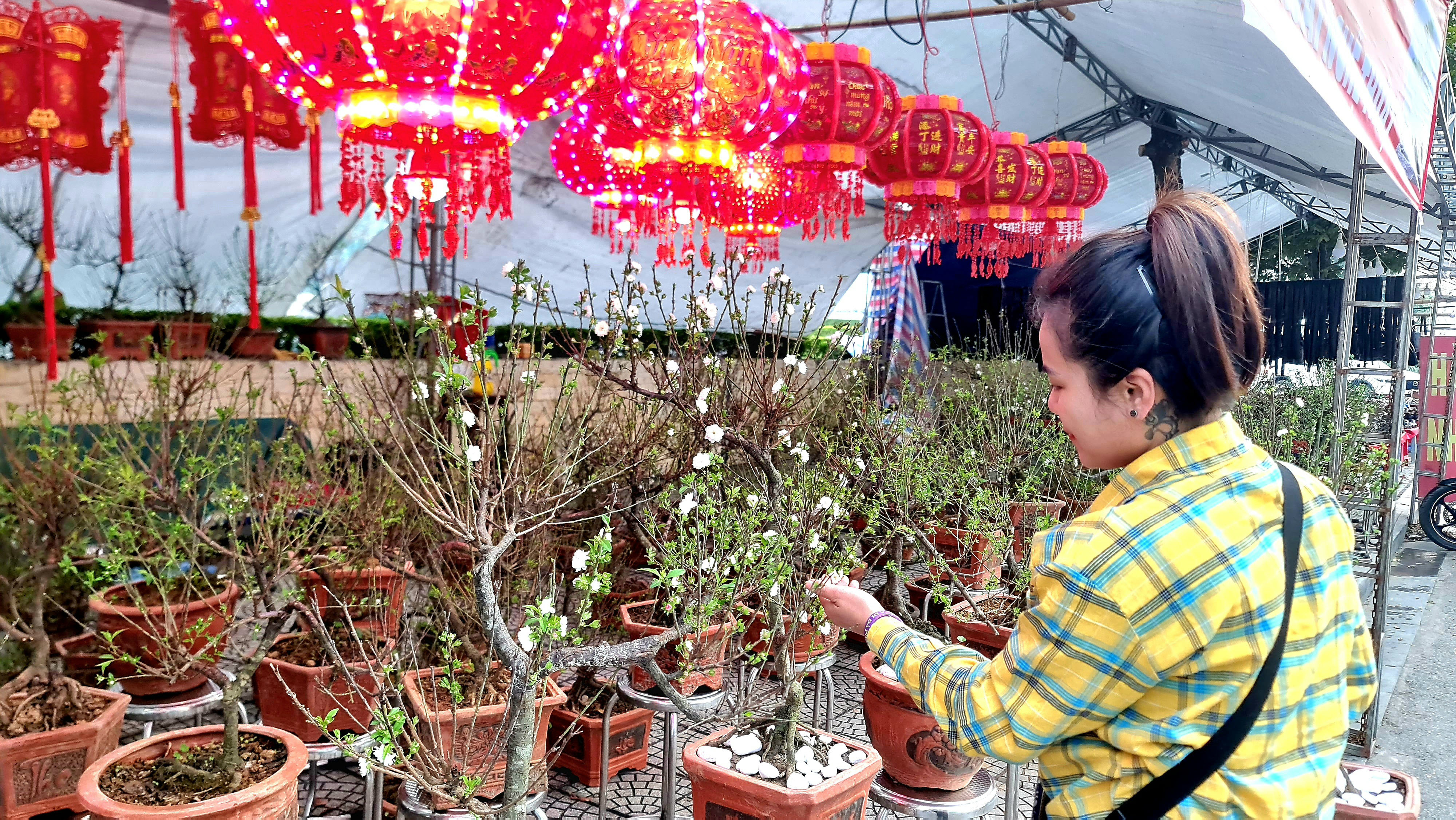 Tet Flower Market