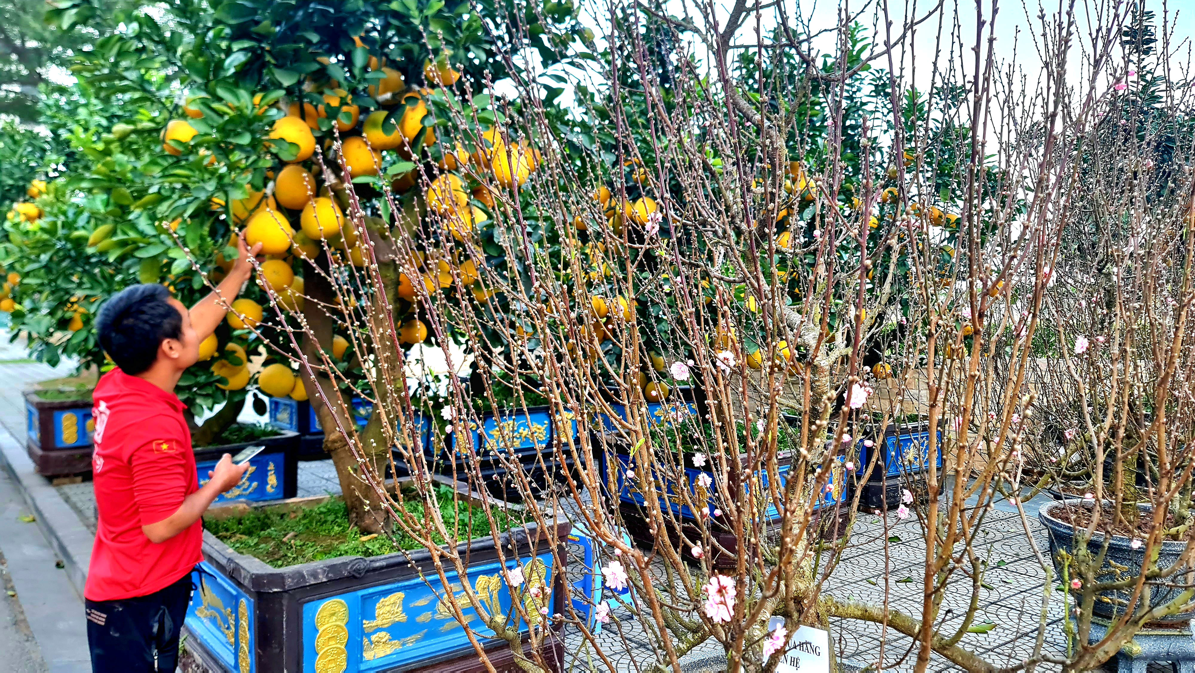 Tet Flower Market