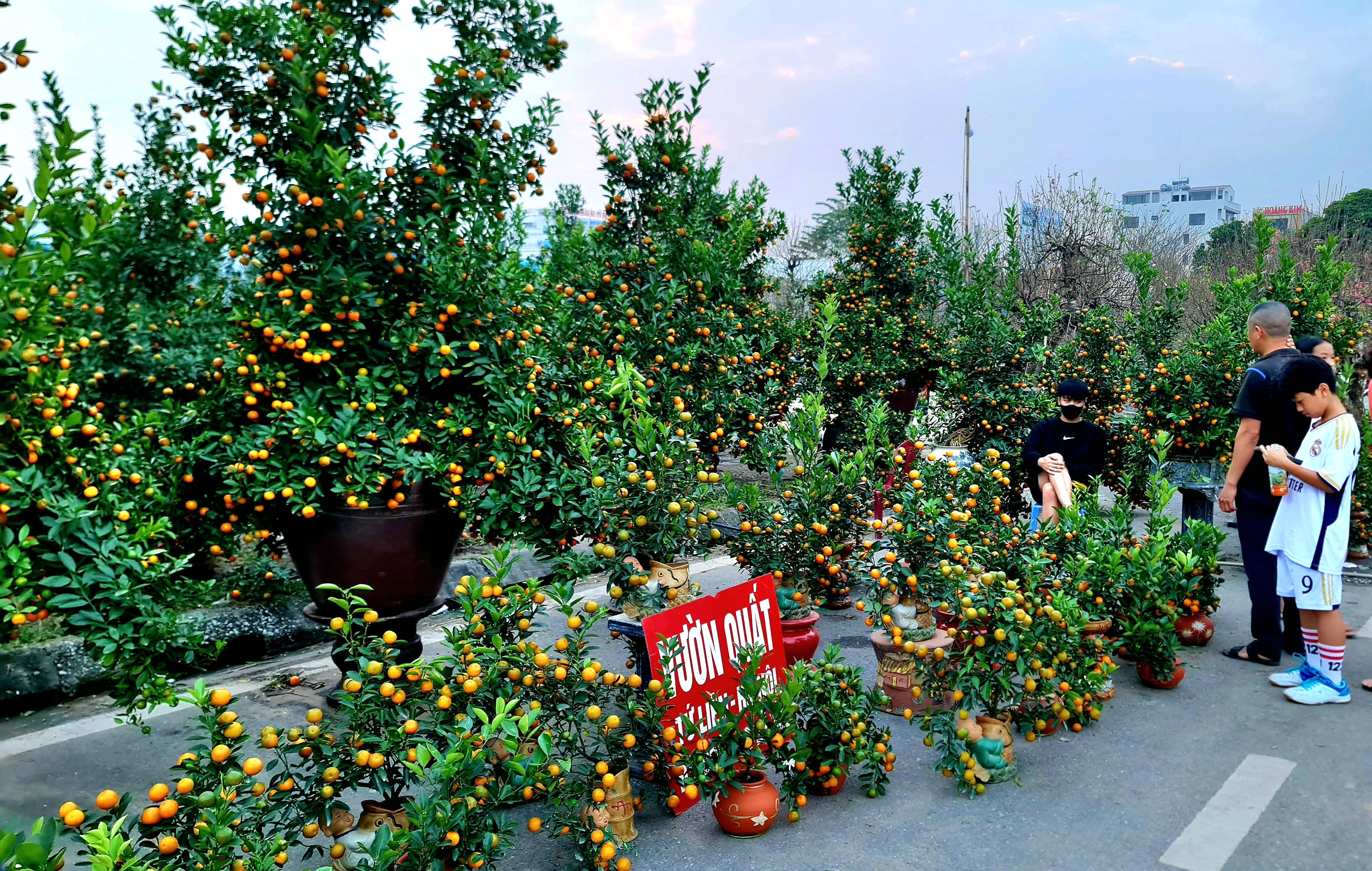 Tet Flower Market