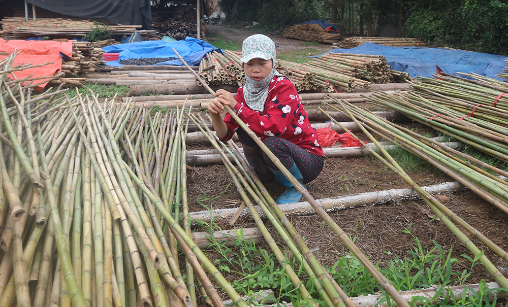 Đưa sản phẩm tre xuất ngoại