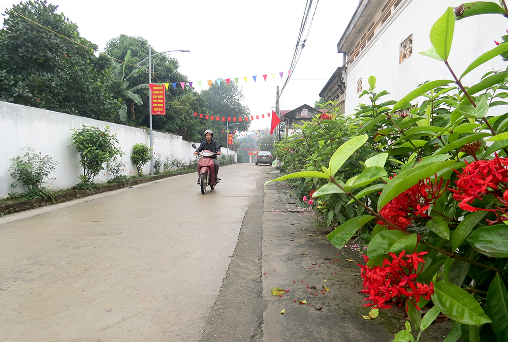 Xuân về trên khu nông thôn mới kiểu mẫu