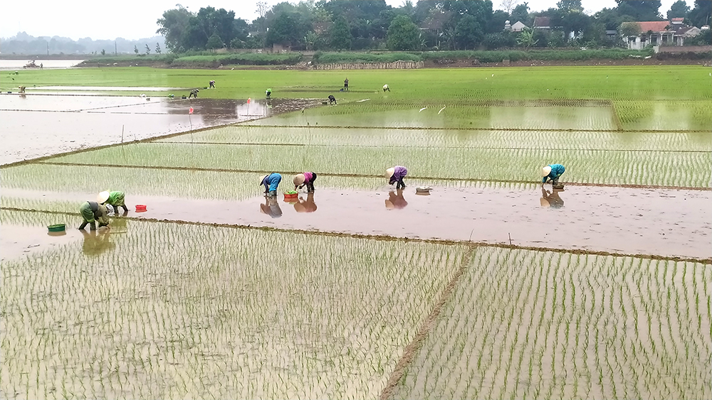 Tích cực sản xuất đầu Xuân mới