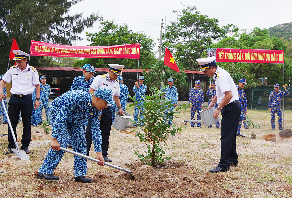 Cho đảo mãi xanh