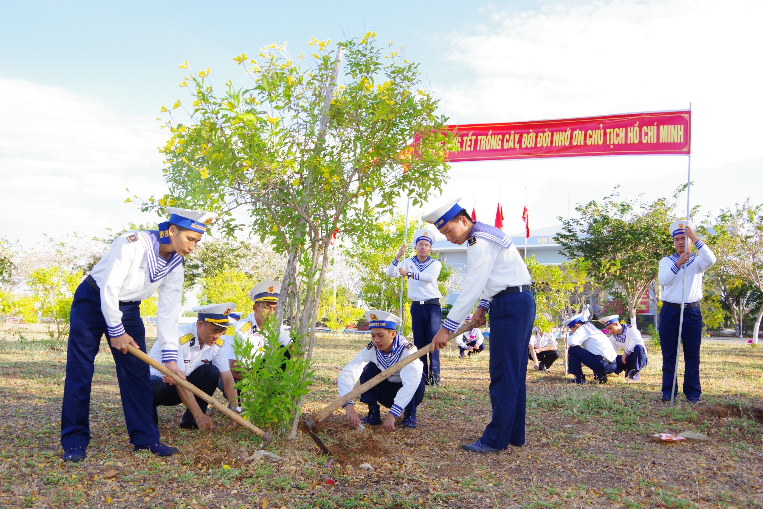 Cho đảo mãi xanh