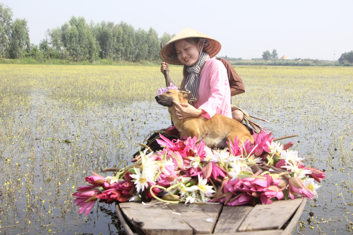 Bình yên sông nước Đồng Tháp Mười