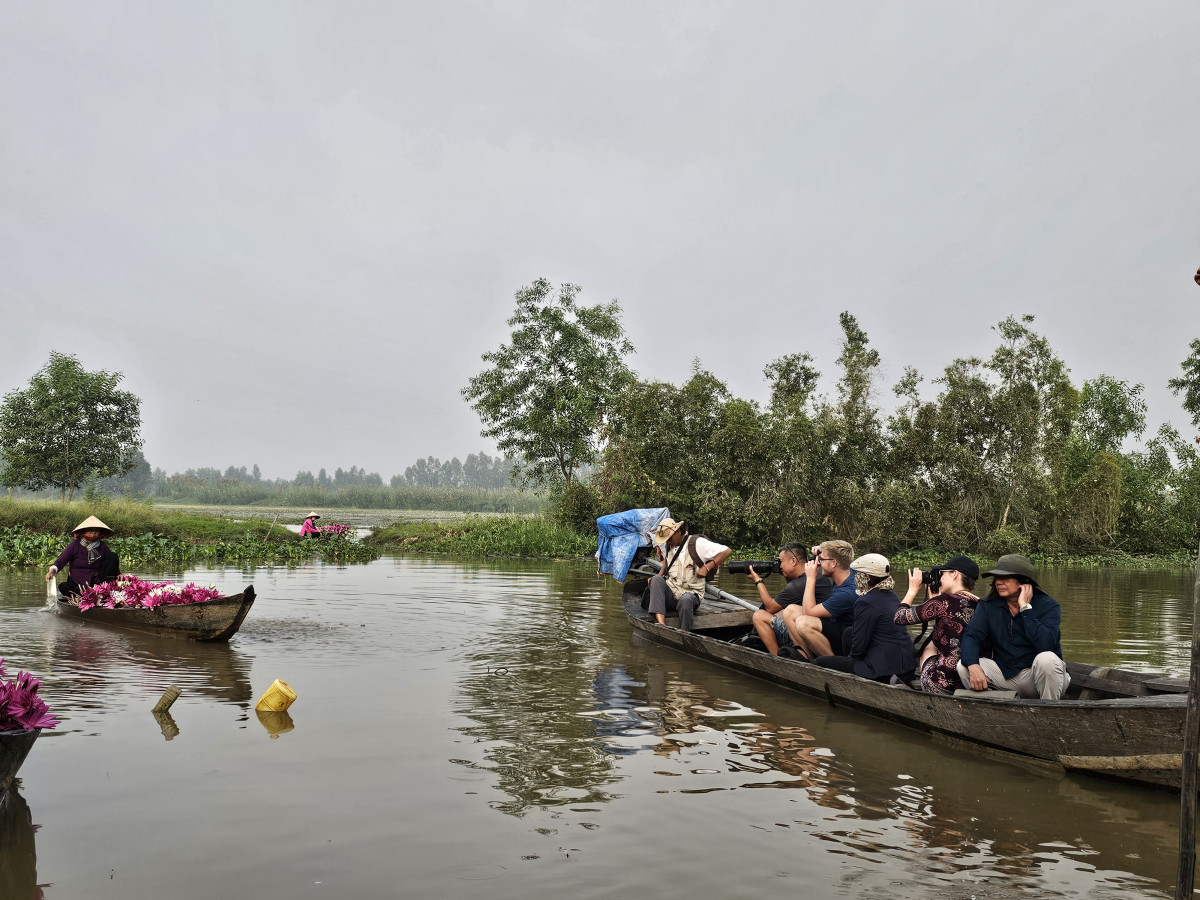 Bình yên sông nước Đồng Tháp Mười