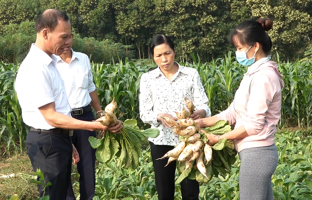 Chung tay giảm nghèo