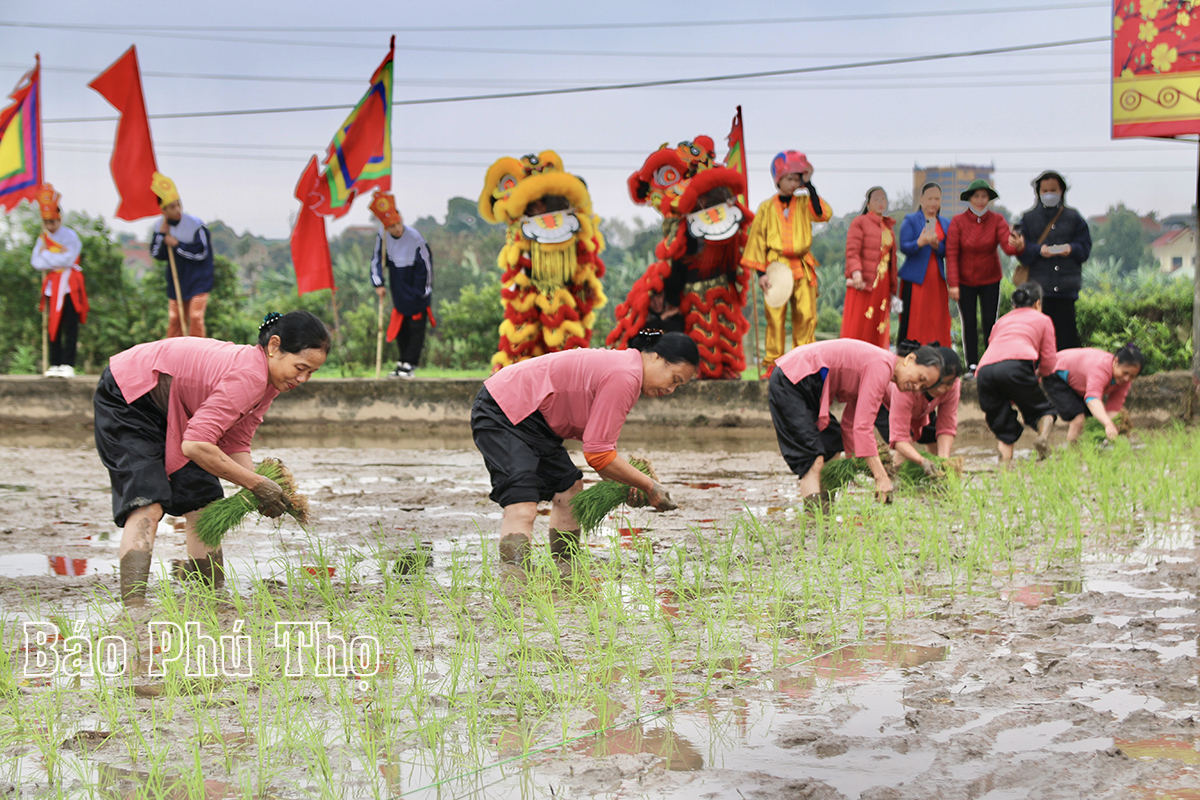 Lễ hội Vua Hùng dạy dân cấy lúa