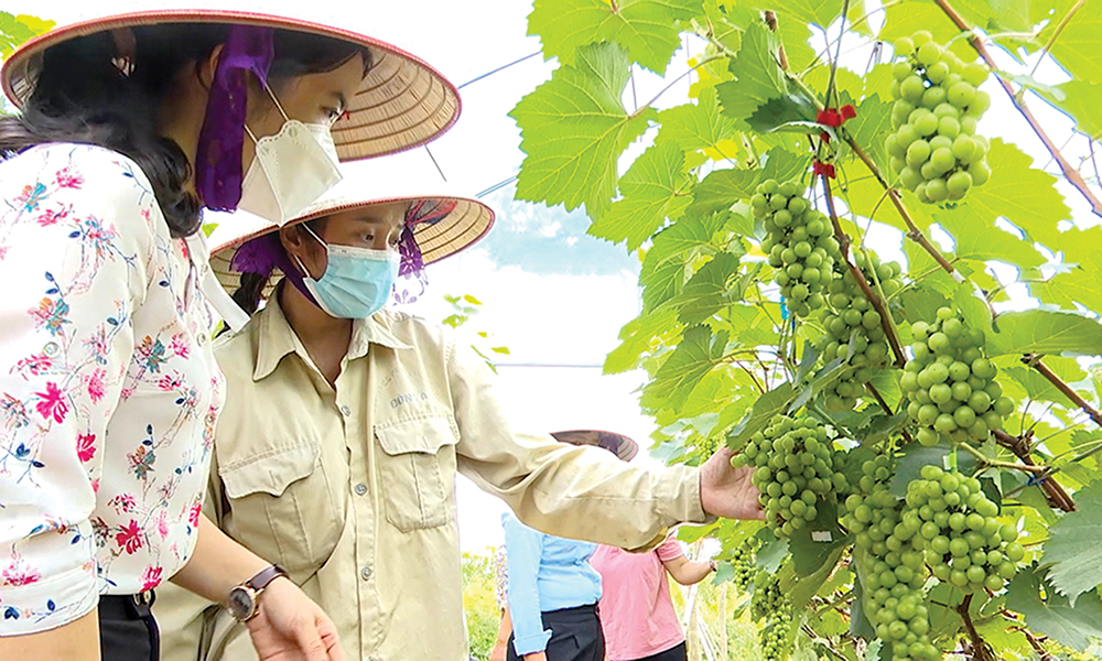 Linh hoạt, quyết tâm xây dựng huyện nông thôn mới