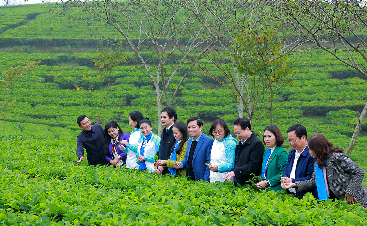 Phát động Tết trồng cây và phong trào “Phụ nữ Đất Tổ chung tay giữ gìn, bảo tồn di sản văn hóa”