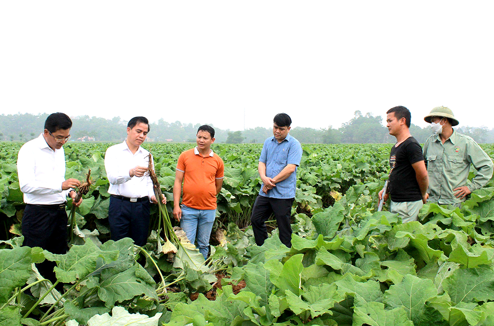 Thành quả từ truyền thống đoàn kết, nỗ lực sáng tạo, vượt khó, quyết tâm xây dựng cuộc sống mới tốt đẹp hơn