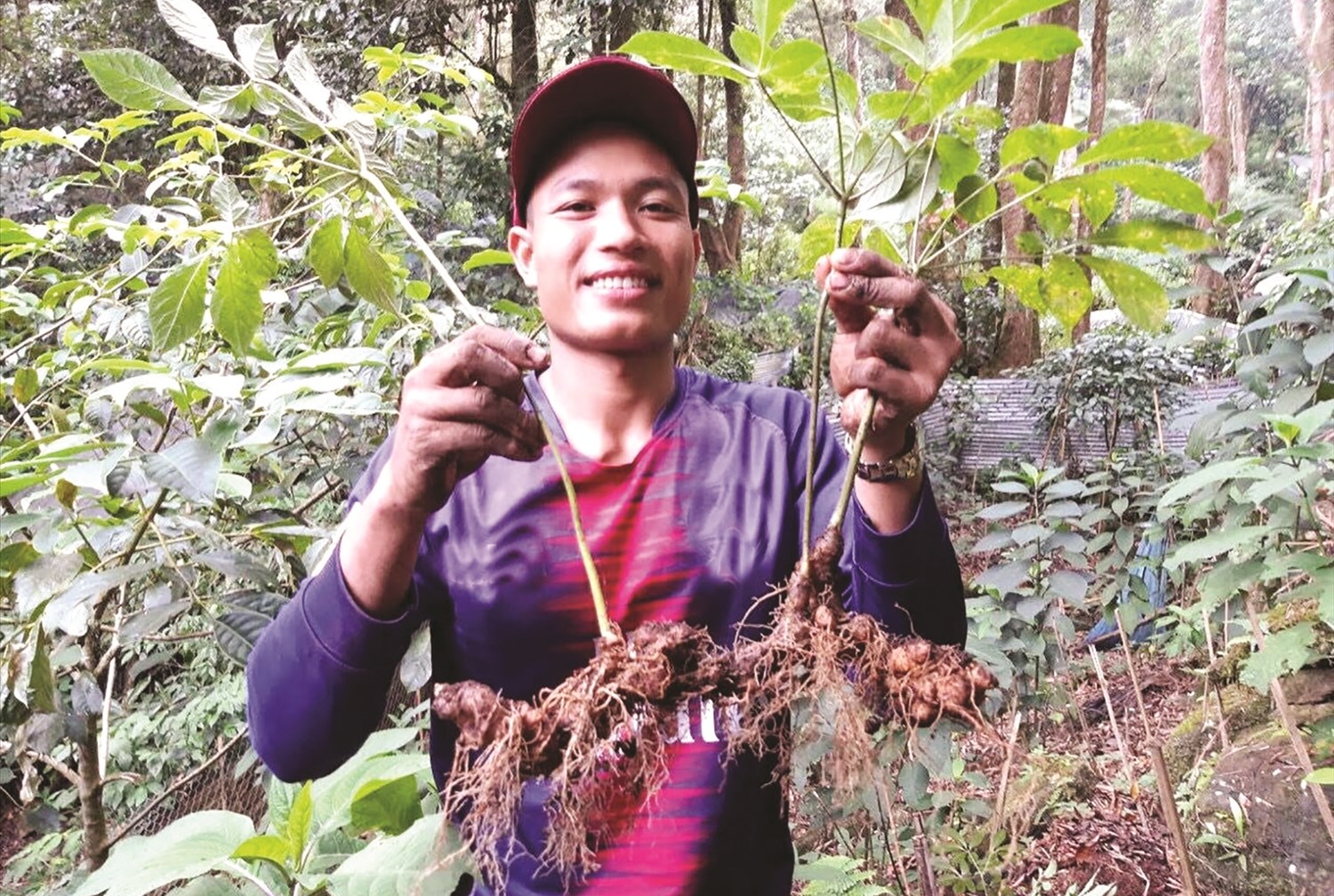 Đồng bào Xơ Đăng đưa “Quốc bảo” trở thành quốc kế dân sinh