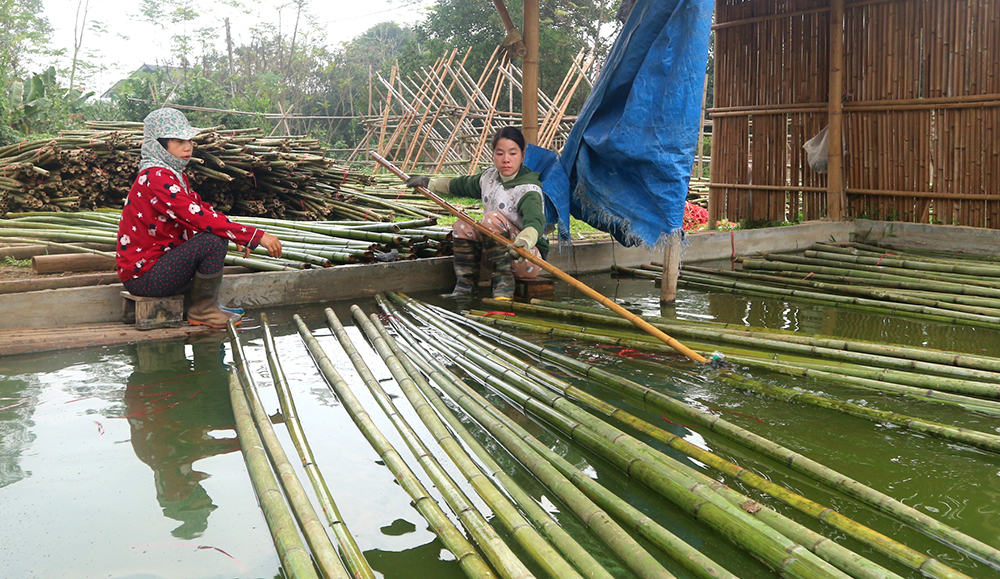 Exporting bamboo products overseas