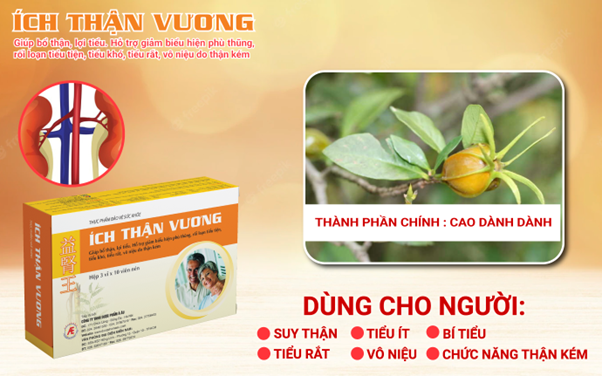 Cải thiện suy thận độ 2, tiểu đêm, tiểu ra máu nhờ dùng Ích Thận Vương