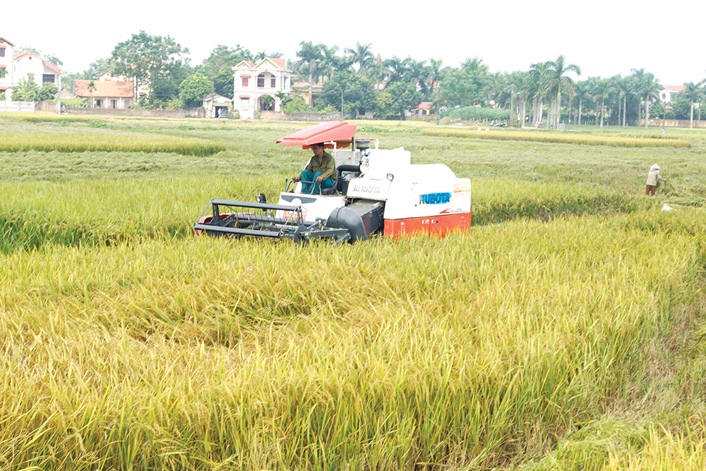 Dẫn lối, đồng lòng, “tam nông” phát triển