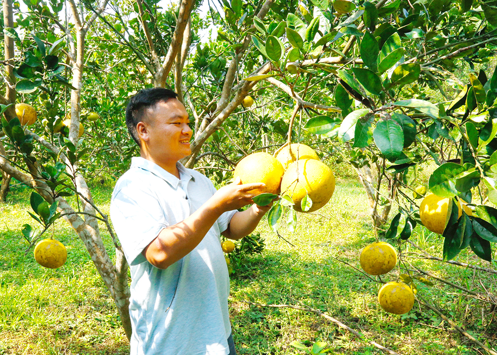 Sức trẻ nơi đất khó