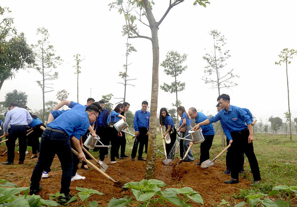 Tuổi trẻ ngành Ngân hàng dâng hương tại Khu di tích lịch sử Đền Hùng