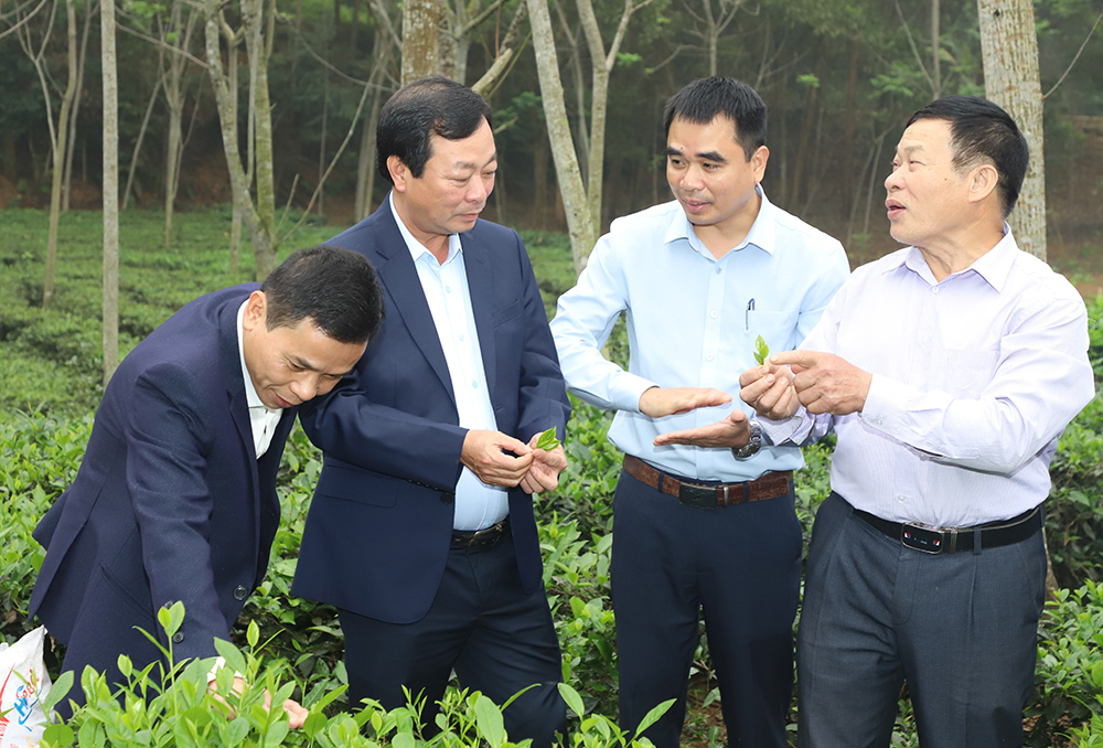 Chairman of the Provincial Peoples Committee Bui Van Quang works with Northern mountainous Agriculture and Forestry Science Institute