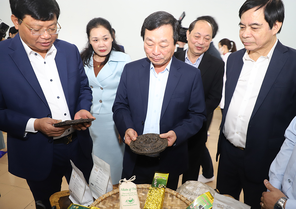 Chairman of the Provincial Peoples Committee Bui Van Quang works with Northern mountainous Agriculture and Forestry Science Institute