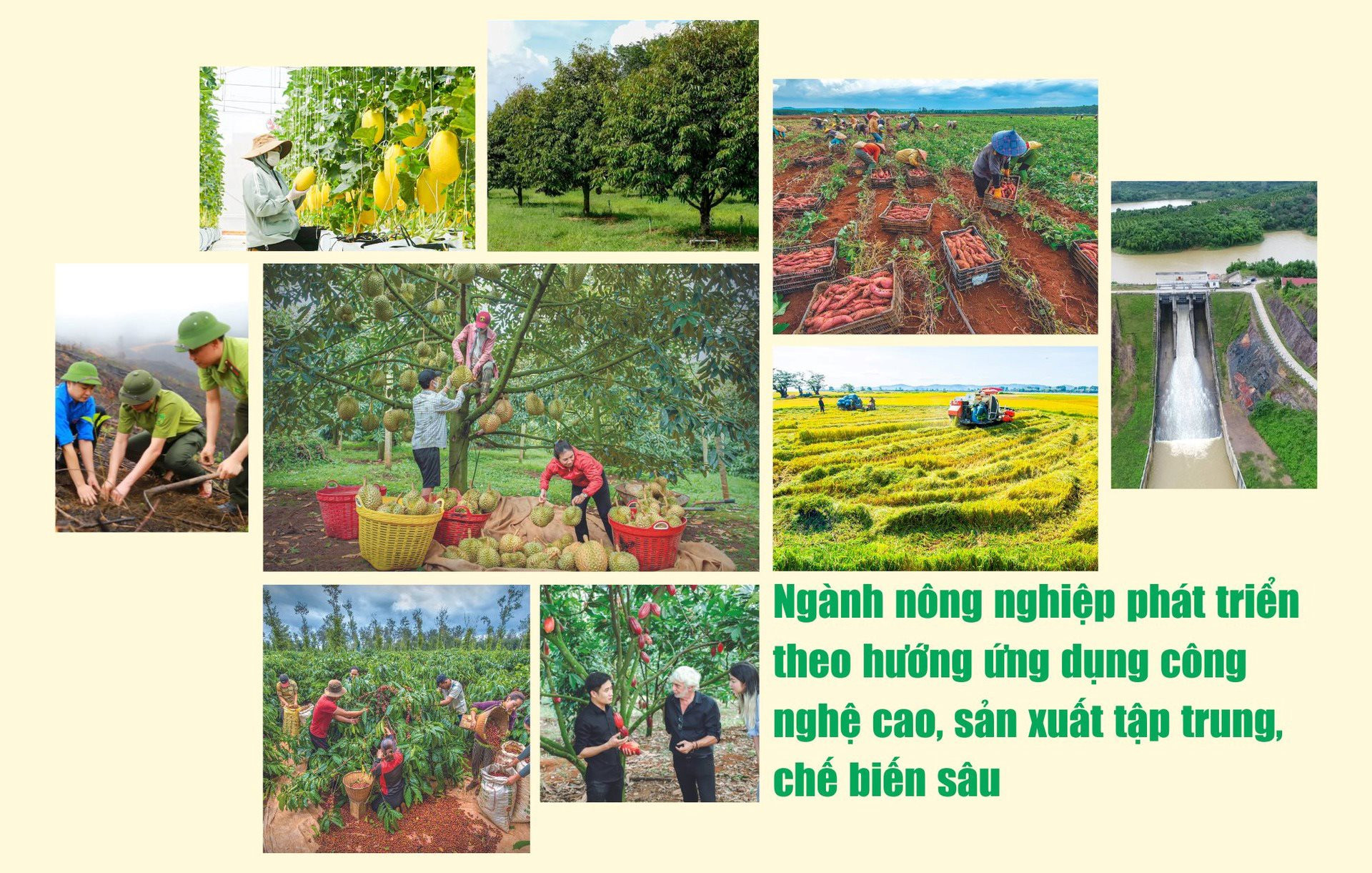 Phát huy tiềm năng, lợi thế, huy động mọi nguồn lực, khơi dậy khát vọng vươn lên, xây dựng Đắk Nông phát triển nhanh và bền vững