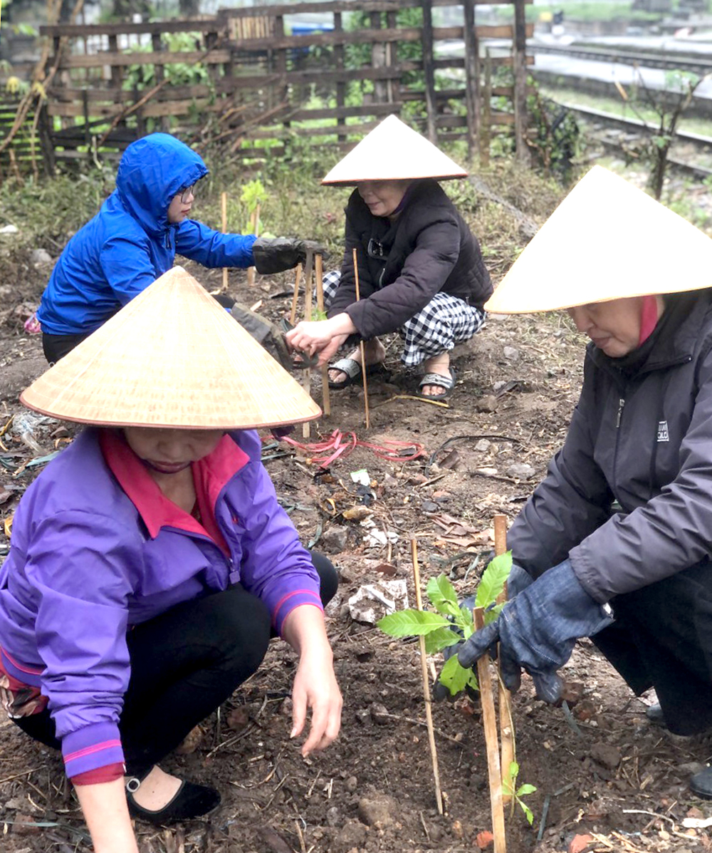 Thị xã Phú Thọ thực hiện trồng 200m “Đường hoa - Đường tàu”