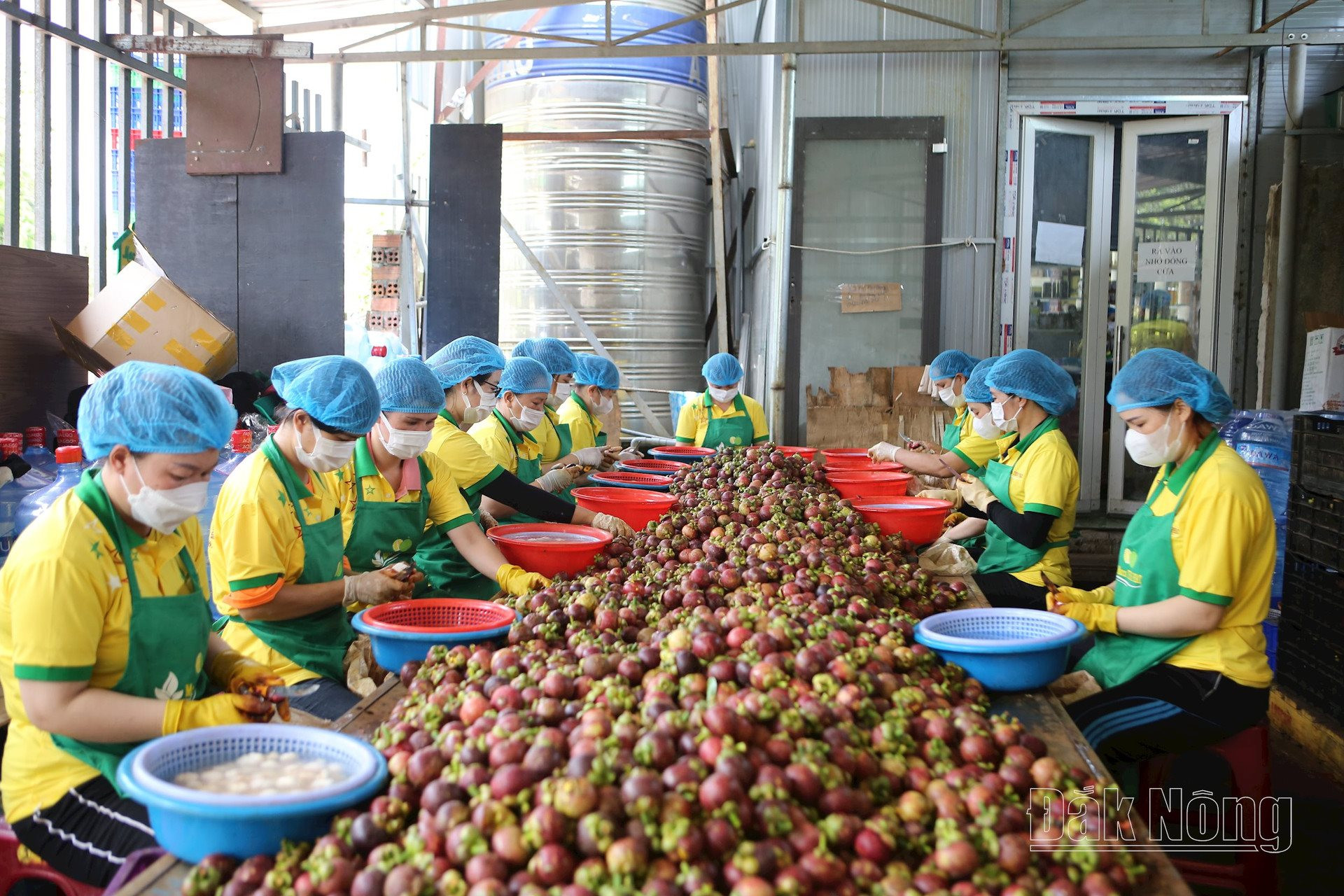 Đăk Nông và mục tiêu thu hút đầu tư hơn 290.000 tỷ đồng