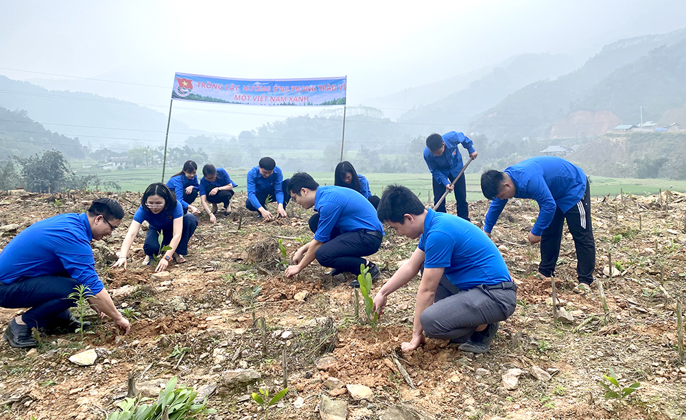 Chương trình Tình nguyện Tháng Ba