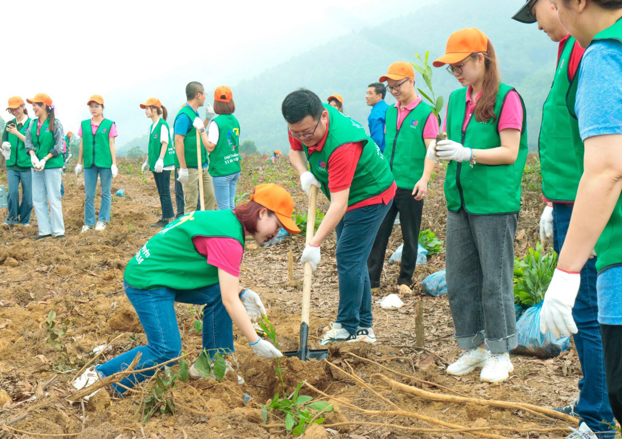 Giving 12,000 seedlings in Cam Khe district