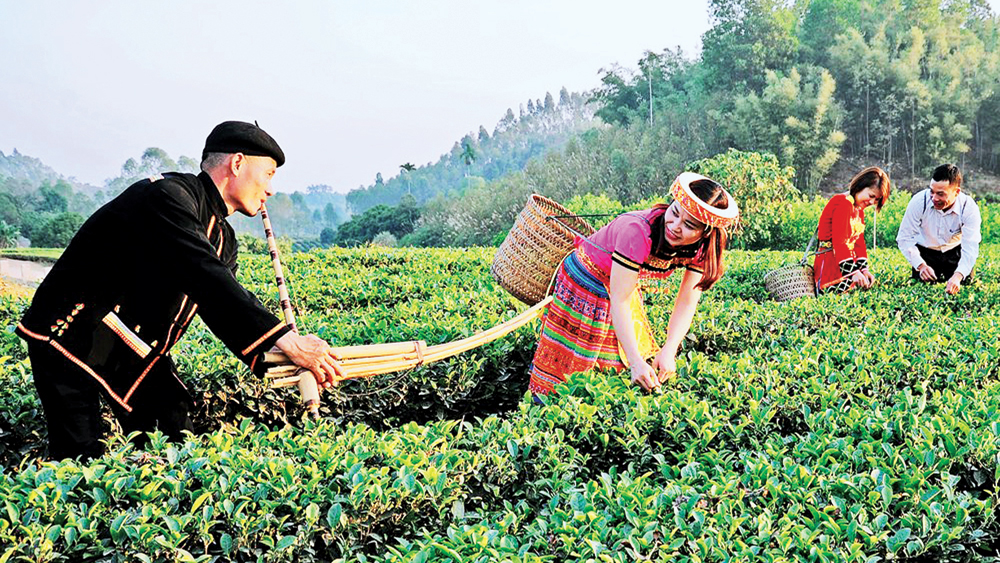 Thơm ngát mùa quả ngọt