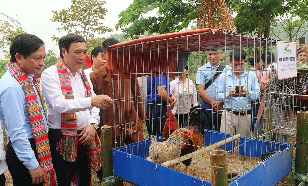 Lãnh đạo tỉnh tham quan Hội trại Văn hóa tại Đền Hùng