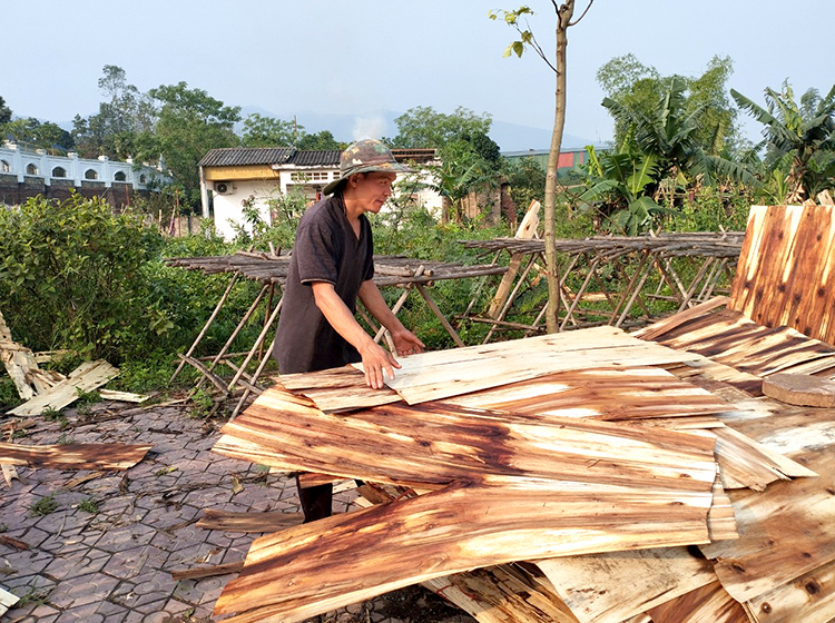 Thanh Sơn: Tập trung khắc phục hậu quả thiên tai