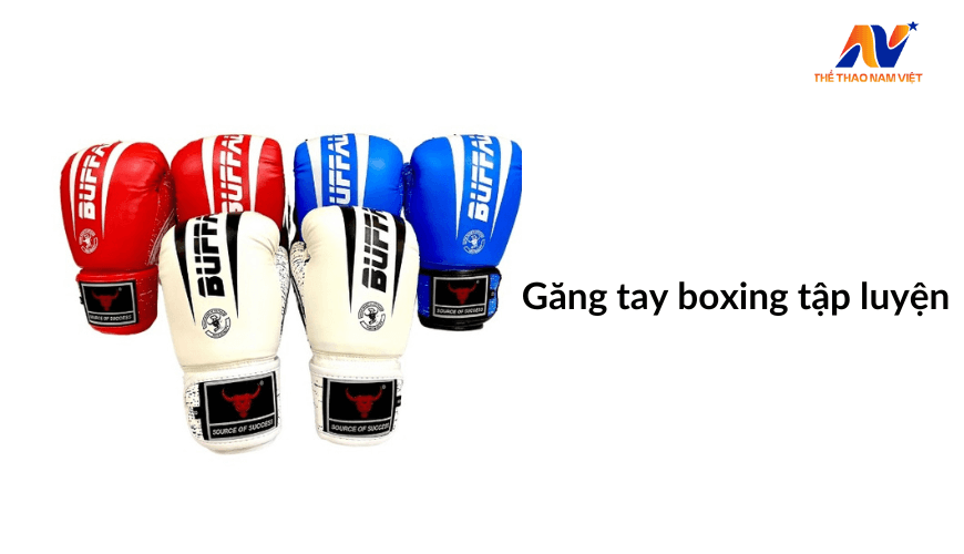 Nên mua găng tay boxing loại nào? Tham khảo tại Nam Việt Sport