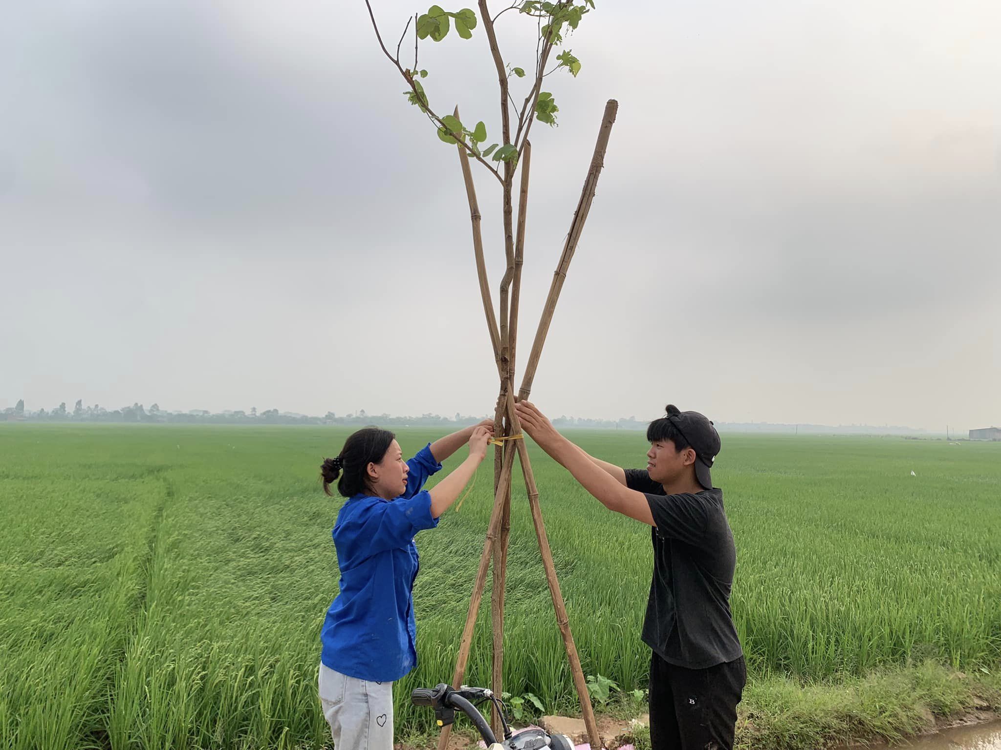 Phát huy sức trẻ trên quê hương đất lúa đất văn