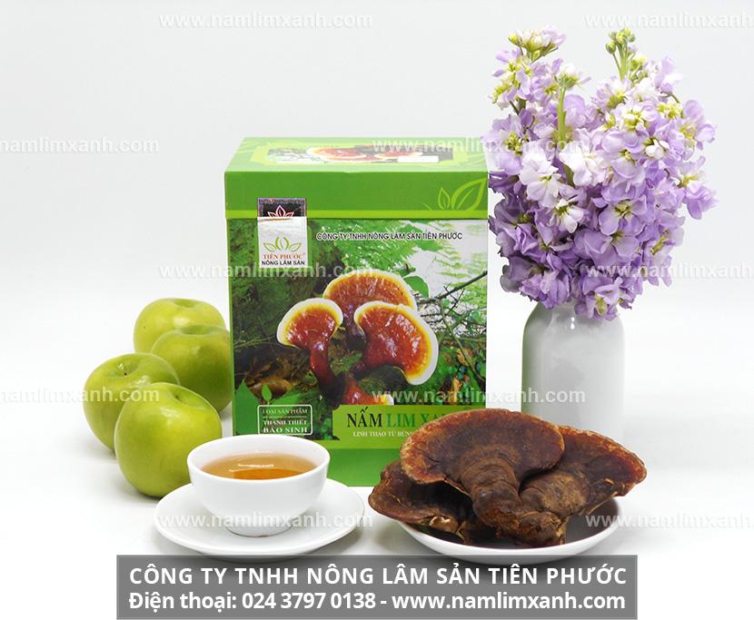 Tác dụng nấm lim xanh chữa bệnh gan với cách dùng uống nấm lim xanh nhiều có tốt?