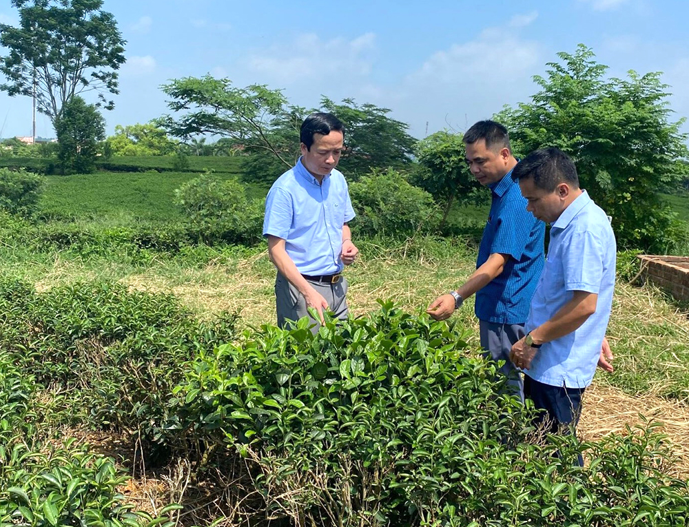 Khoa học và công nghệ - động lực phát triển bền vững