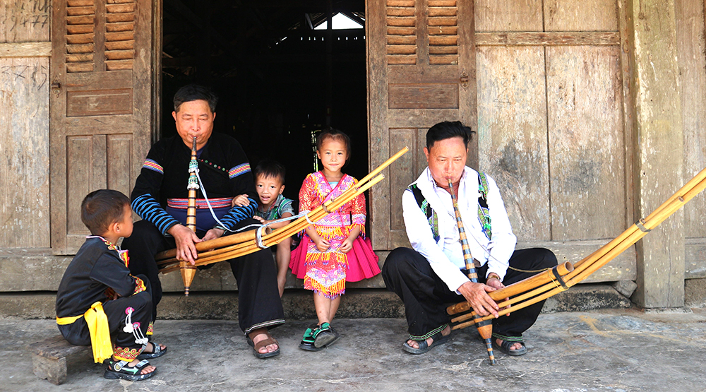 “Bóng cả” trên ngàn