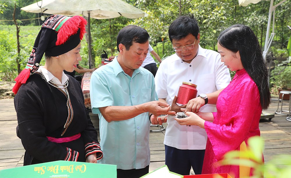 Chairman of the Provincial Peoples Committee Bui Van Quang works in Tan Son district