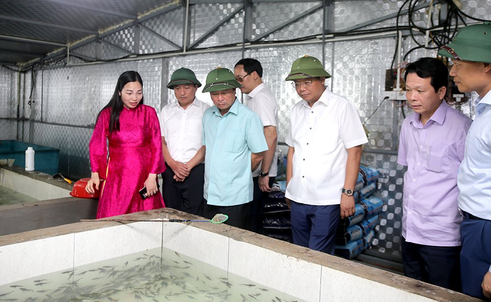 Chairman of the Provincial Peoples Committee Bui Van Quang works in Tan Son district