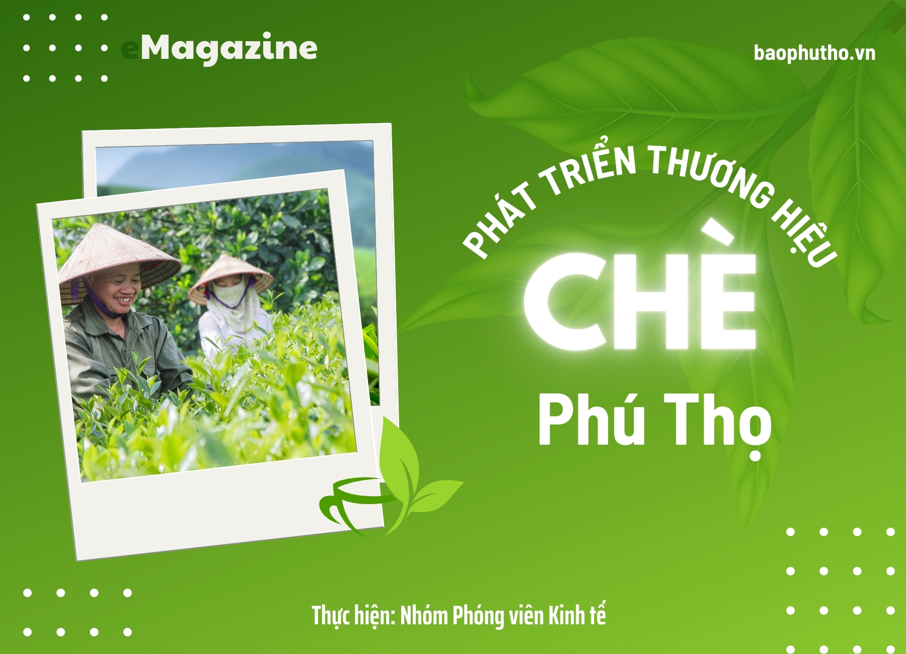 Phát triển thương hiệu chè Phú Thọ